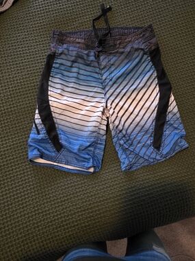 Blue Striped Swim Trunks with Black Panels
